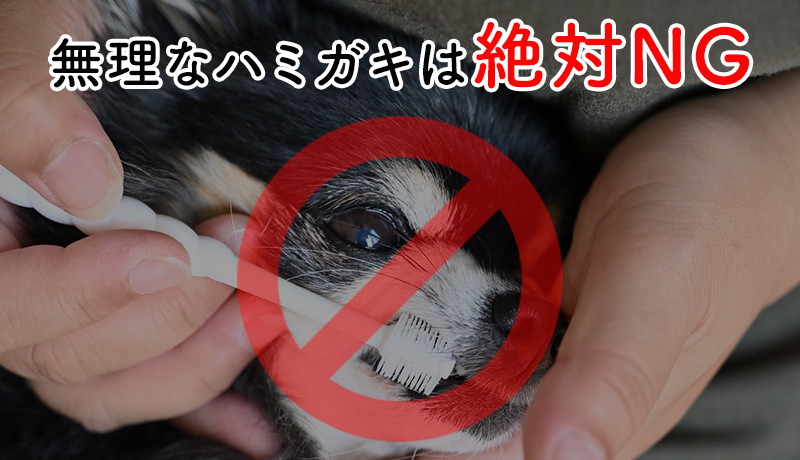 無理なハミガキは絶対NG