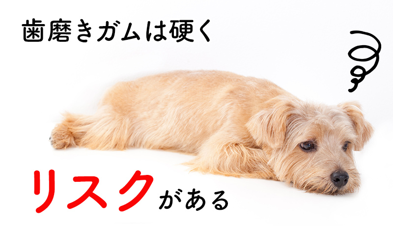 歯磨きガムは硬くリスクがある