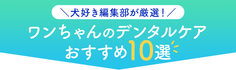 ＼犬好き編集部が厳選！／ワンちゃんのデンタルケア
おすすめ10選